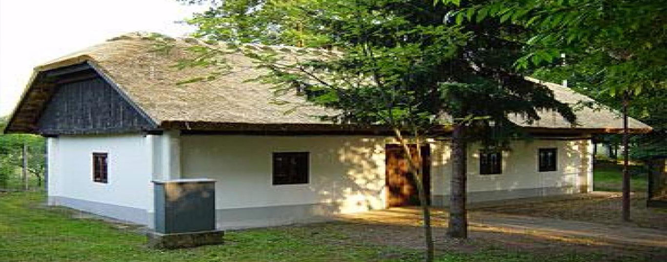 Čevljarski muzej Turnišče